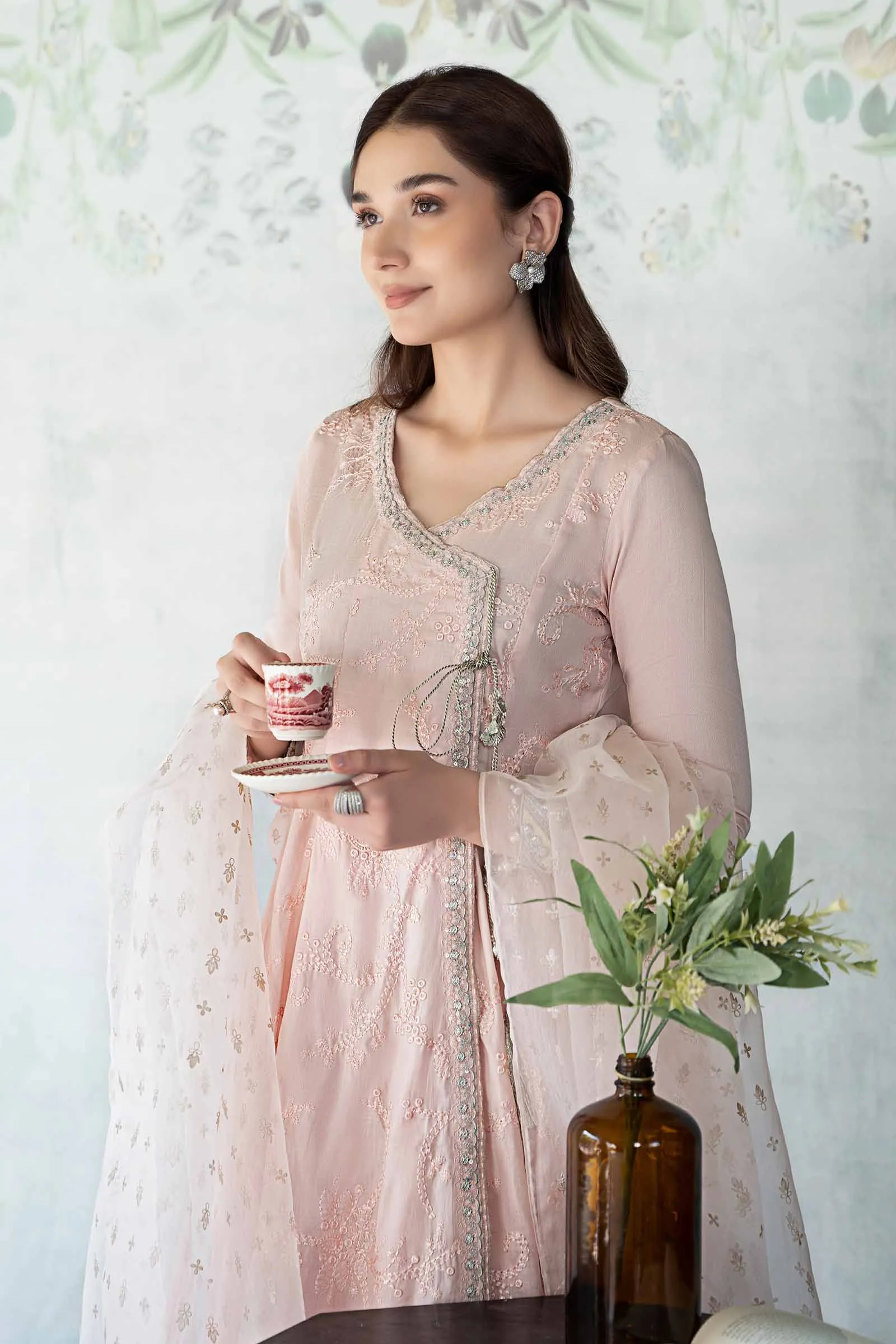 3 Piece Embroidered Net Suit | DW-EA24-49