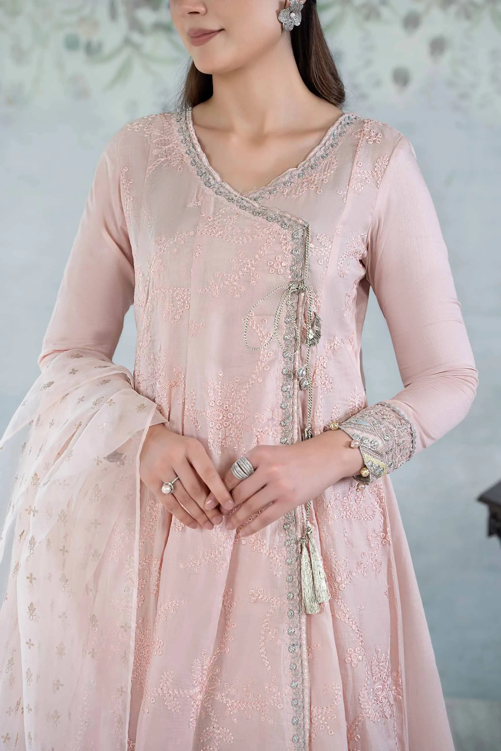 3 Piece Embroidered Net Suit | DW-EA24-49