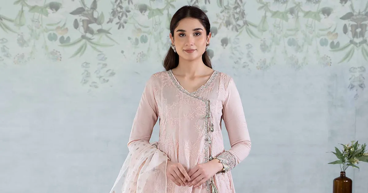 3 Piece Embroidered Net Suit | DW-EA24-49