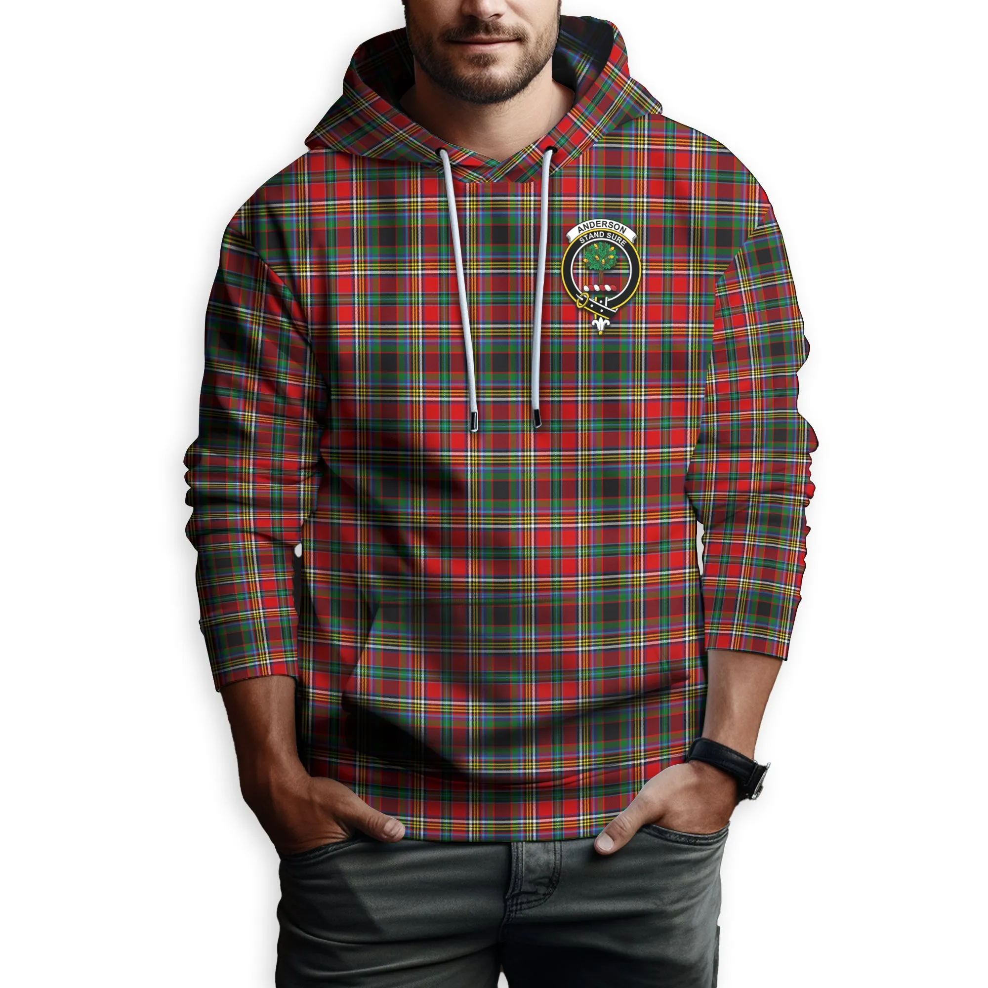 Anderson of Arbrake Tartan Hoodie with Family Crest