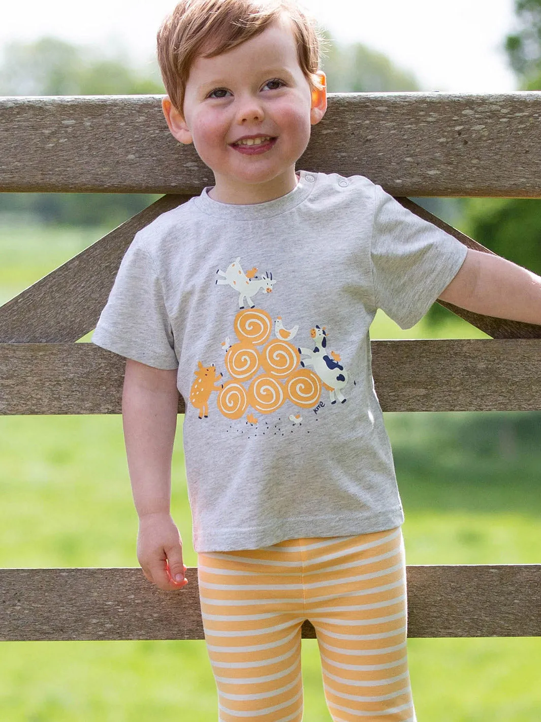 Farmyard fun t-shirt