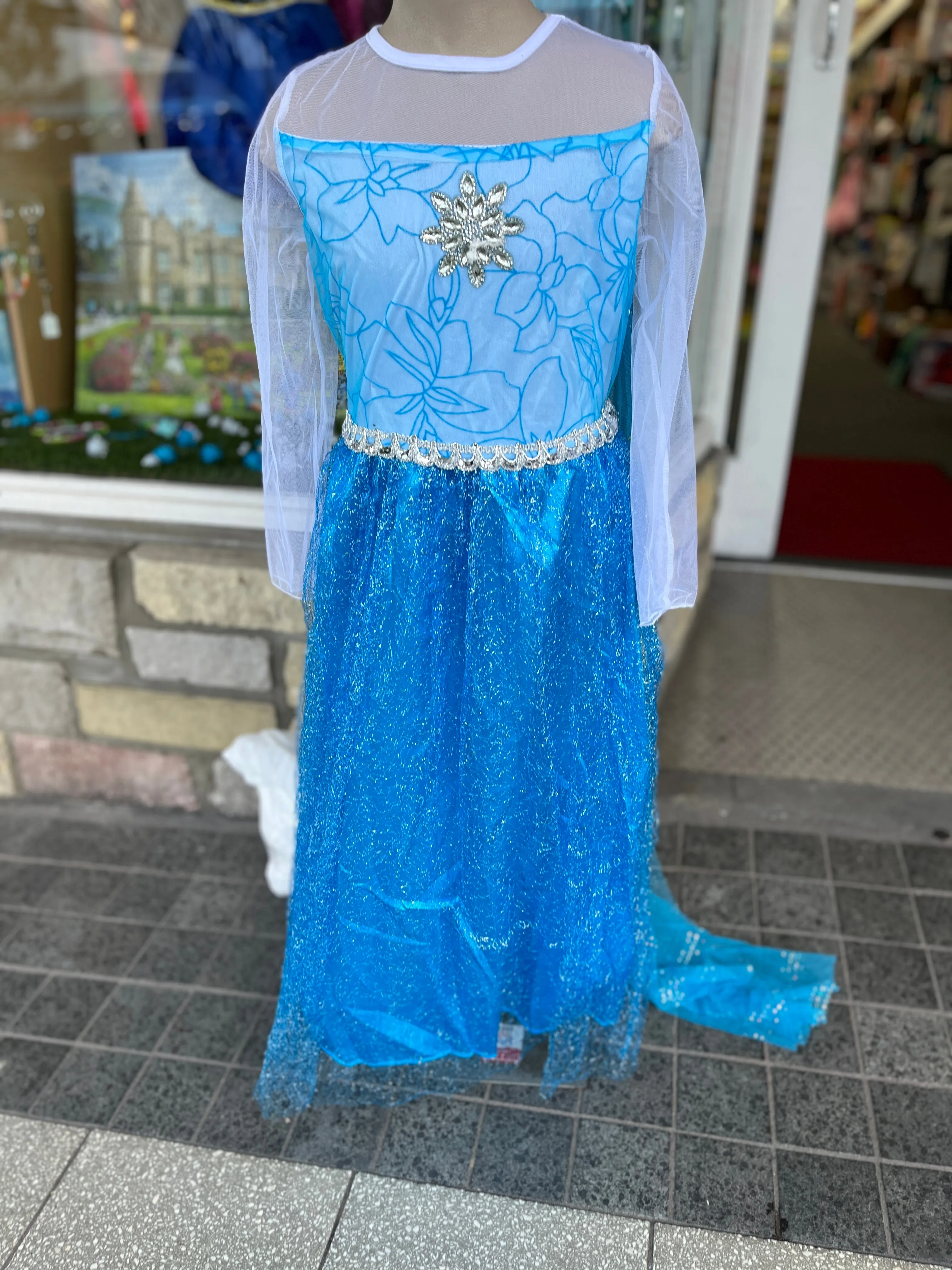 Frozen Dress up with cape attached x small