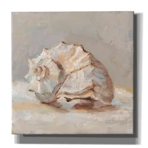 "Impressionist Shell Study II" by Ethan Harper, Canvas Wall Art